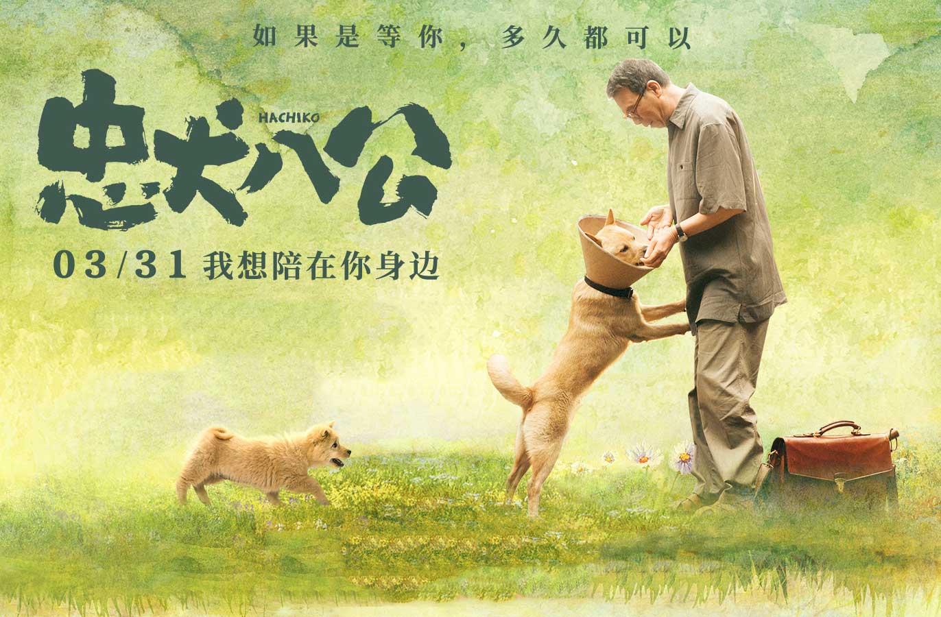搶票丨電影《忠犬八公》全國免費(fèi)搶票